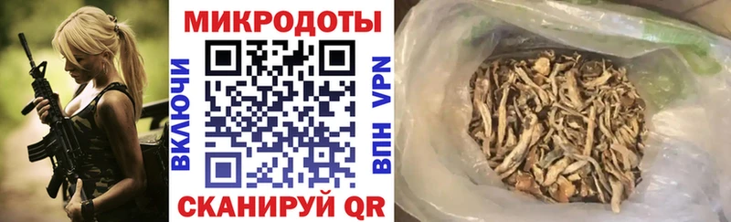Псилоцибиновые грибы Psilocybine cubensis  продажа наркотиков  Шахунья 